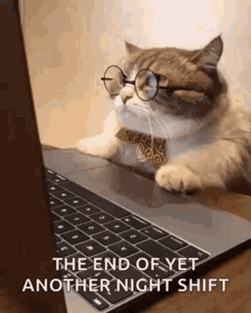A moving image of a cat in front of a computer with a text saying 'the end of yet another night shift